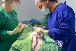 Maternidade Dona Evangelina Rosa realiza procedimento neurológico em recém-nascido com menos de 24h de vida